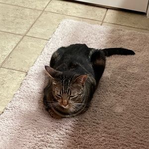 Meet your Posher, Paige